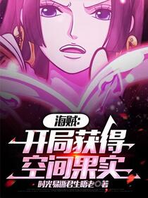 海贼王之泽法之子