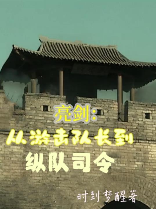 亮剑：从游击队长到纵队司令