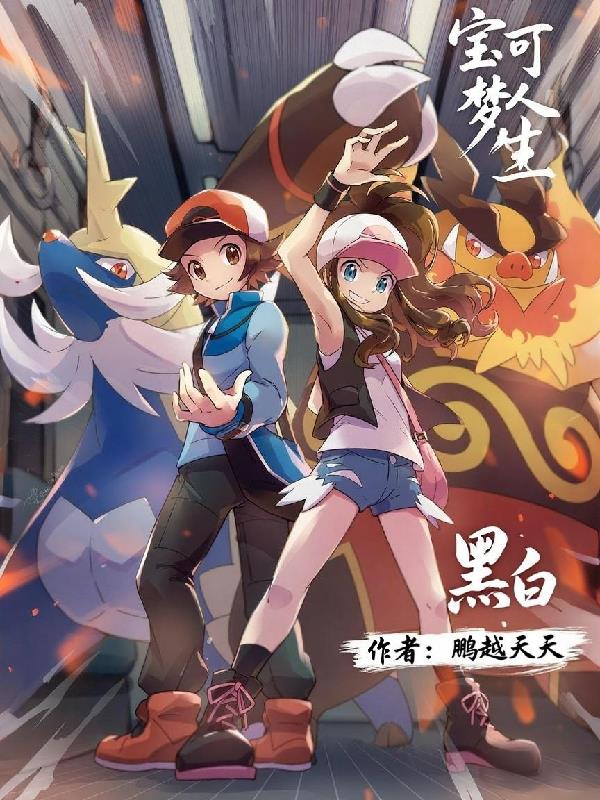 宝可梦人生黑白